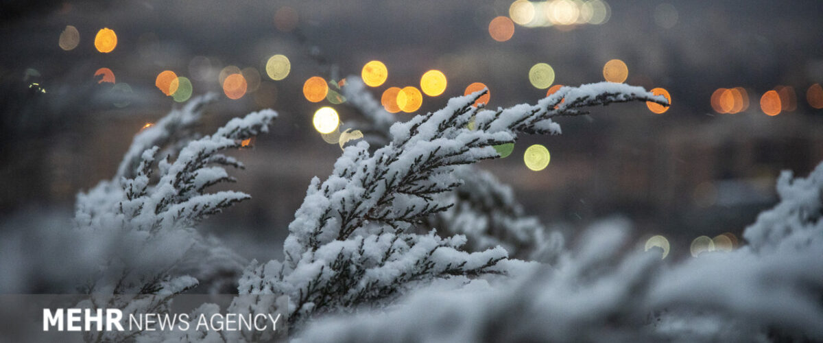هشدار هواشناسی به ۲۵ استان؛ خسارت به محصولات کشاورزی با تشدید بارش‌ها