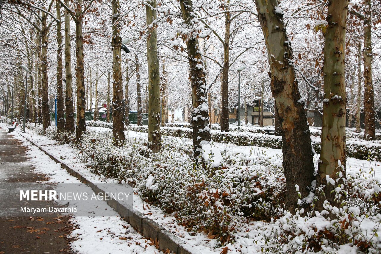 فعالیت آخرین موج بارشی در کشور؛ بارش‌های پراکنده و موقتی در ۵ استان